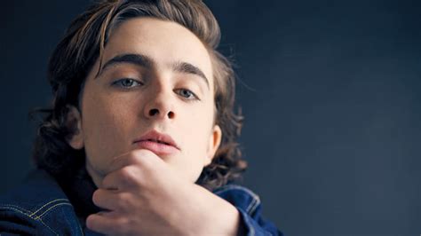 timothee chalamet butt|Timothee Chalamet on His Racy Sex Scene in ‘Call Me .